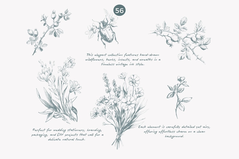 May include: A collection of hand-drawn illustrations featuring wildflowers, herbs, insects, and wreaths in a vintage ink style. The illustrations are perfect for adding a delicate natural touch to wedding stationery, branding, packaging, and DIY projects.