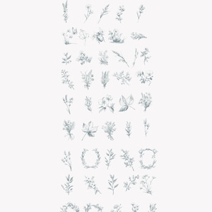 May include: A collection of 56 hand-drawn illustrations of various flowers, leaves, and insects. The illustrations are in a vintage style and are perfect for adding a touch of nature to your designs.