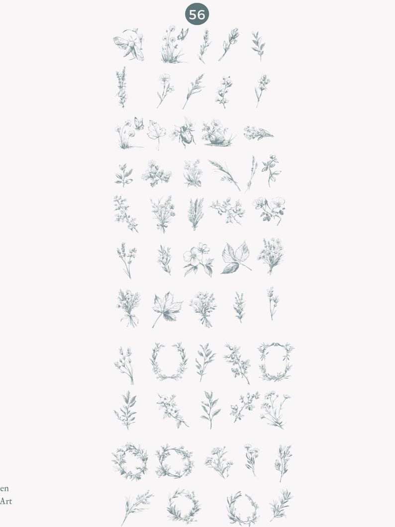 May include: A collection of 56 hand-drawn illustrations of various flowers, leaves, and insects. The illustrations are in a vintage style and are perfect for adding a touch of nature to your designs.