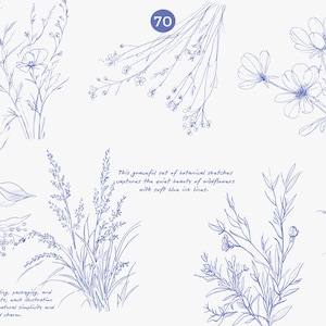 Puede incluir: Un conjunto de bocetos bot&aacute;nicos azules de flores silvestres y follaje sobre un fondo blanco. La imagen incluye el texto: &laquo;Este elegante conjunto de bocetos bot&aacute;nicos captura la tranquila belleza de las flores silvestres con suaves l&iacute;neas de tinta azul&raquo;.