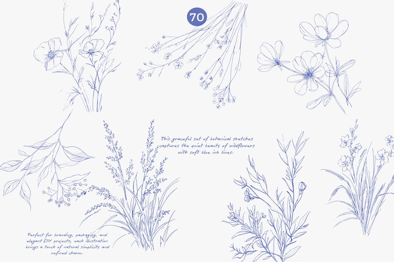 Puede incluir: Un conjunto de bocetos bot&aacute;nicos azules de flores silvestres y follaje sobre un fondo blanco. La imagen incluye el texto: &laquo;Este elegante conjunto de bocetos bot&aacute;nicos captura la tranquila belleza de las flores silvestres con suaves l&iacute;neas de tinta azul&raquo;.