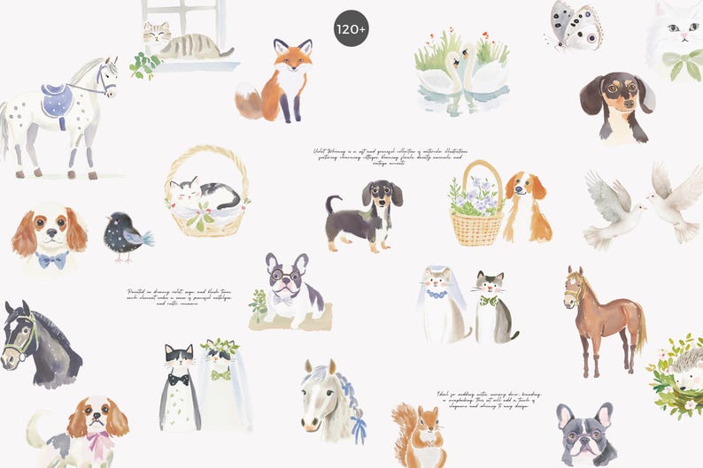 May include: Watercolor illustrations of various animals, including a horse, fox, dogs, cats, birds, and a squirrel. The artwork features soft colors and delicate details, creating a whimsical and charming aesthetic. The image includes the text "120+".