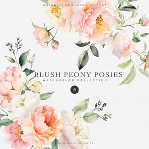 aquarel bloemenboeket clipart - bruiloft gebladerte bloemen sublieme clipart - BLUSH bloemen - bruiloft uitnodigen ontwerp - pioenroos bloemenboeketten