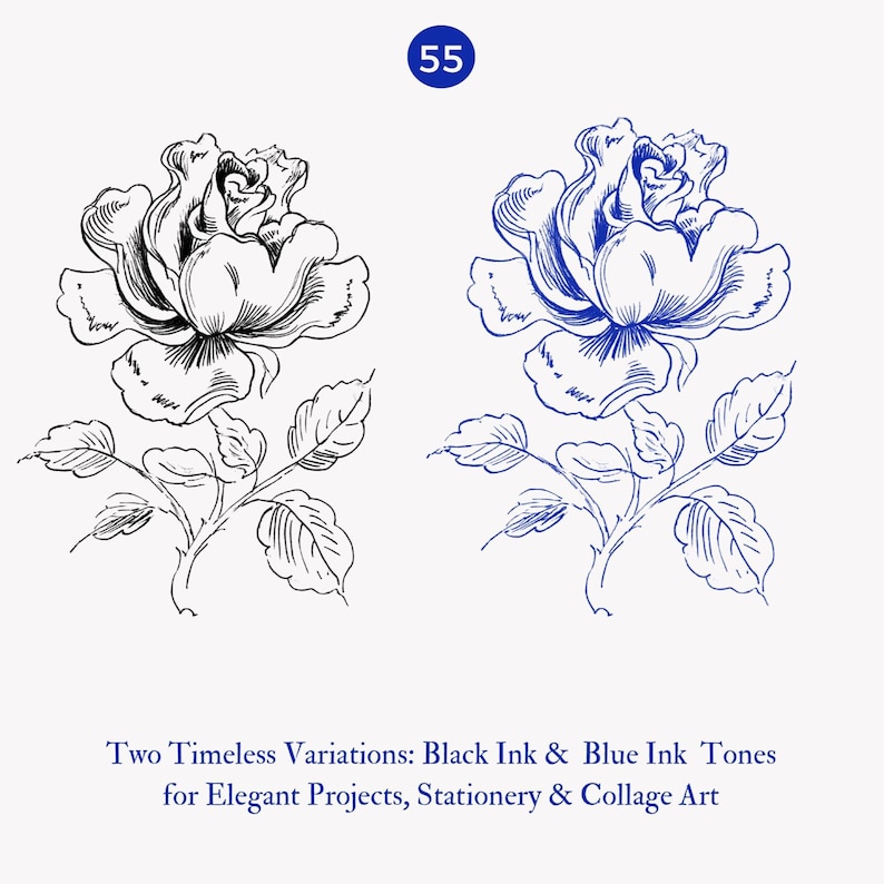 May include: Two line drawings of a rose with leaves, one in black ink and one in blue ink. The caption below reads "Two Timeless Variations: Black Ink & Blue Ink Tones for Elegant Projects, Stationery & Collage Art".