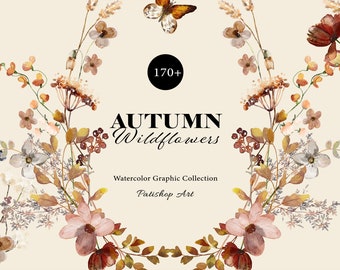 autumn wildflowers clipart collection - meadow flowers - watercolor wildflowers - diy elements meadow flowers -  wedding clipart - fall png