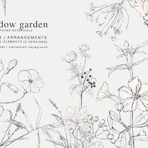 牧草地の花のスケッチ - 花の牧草地のイラスト - スケッチされた花のクリップアート - 植物のスケッチの要素 - 野生の花のクリップアートのグラフィック