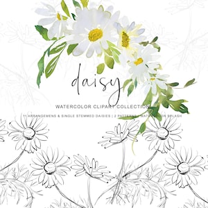 Op de afbeelding: Waterverf clipart collectie van madeliefjes in wit en groen met een zwart-witte lijntekening van madeliefjes. De tekst "daisy" is in cursief geschreven en de tekst "WATERCOLOR CLIPART COLLECTION" is in hoofdletters. De tekst "11 ARRANGEMENS & SINGLE STEMMED DAISIES | 2 PATTERNS | WATERCOLOR SPLASH" is in hoofdletters geschreven.