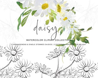 watercolor daisy clipart - daisy bouquets - seamless patterns - hand drawn daisy clipart - watercolor clipart - wedding clipart - premade