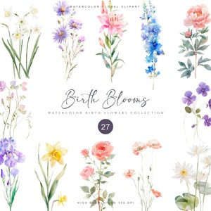 Aquarell-Geburtsblumen-Kollektion – Planer – Kalenderdesign – Hochzeitsschild-Design – rosa Rose – Gänseblümchen-Clipart – Iris-Blume – Aster-Png
