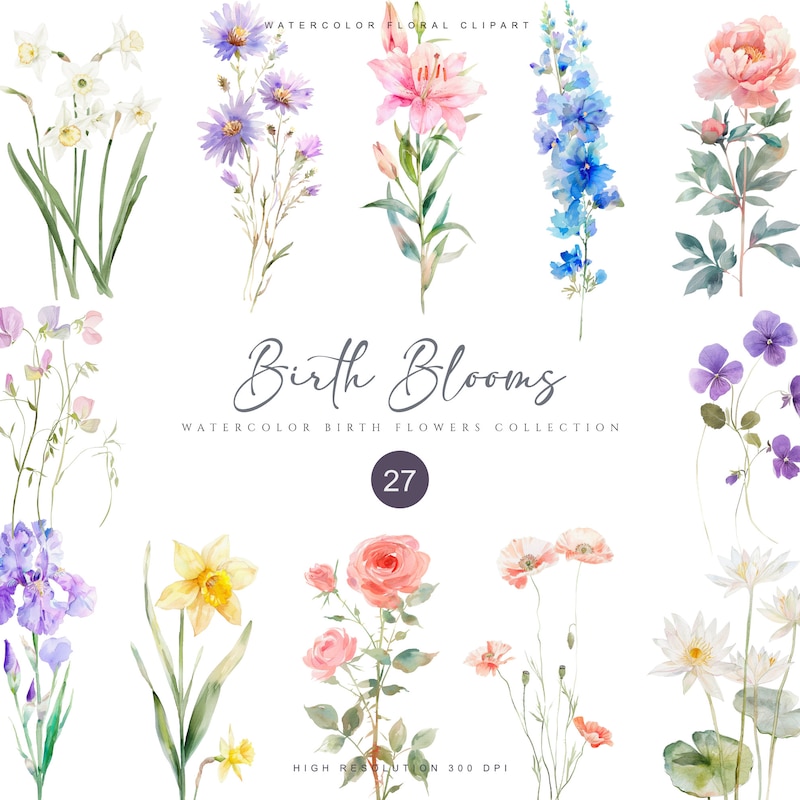 Aster Flower Downloads - Etsy UK