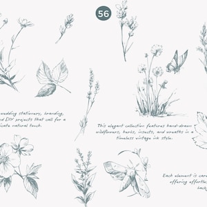 May include: A collection of 56 hand-drawn illustrations of wildflowers, herbs, insects, and wreaths in a vintage ink style. The illustrations are perfect for adding a delicate natural touch to wedding stationery, branding, packaging, and DIY projects.