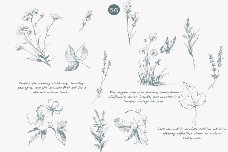 May include: A collection of 56 hand-drawn illustrations of wildflowers, herbs, insects, and wreaths in a vintage ink style. The illustrations are perfect for adding a delicate natural touch to wedding stationery, branding, packaging, and DIY projects.