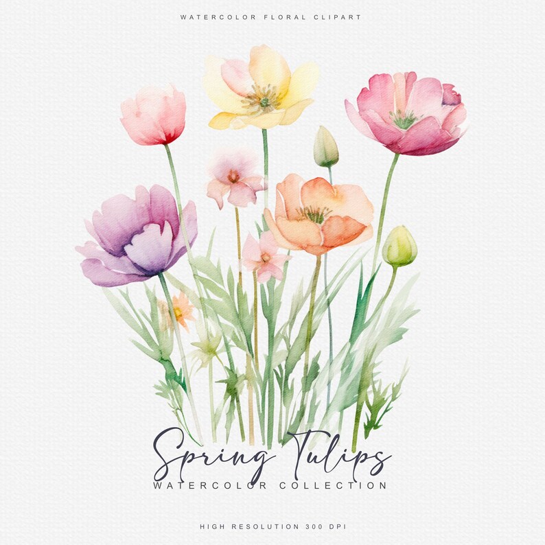 May include: Watercolor painting of a bouquet of spring tulips in shades of pink, purple, yellow, and orange. The flowers are arranged in a loose, natural style, with green leaves and stems. The text "Spring Tulips Watercolor Collection" is written below the flowers.