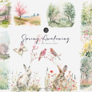 Aquarell Frühling Clipart Frühling Landschaften Frühlingskunst Frühlingsfeld Frühling Tier Aquarell Vogel Frühling Land Clipart png Bild 1