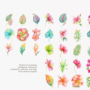 May include: A collection of watercolor illustrations featuring various tropical leaves and vibrant flowers in shades of pink, orange, yellow, green, and blue. The text reads: Perfect for branding, packaging, stationery, invitations, patterns, and high-end creative projects.