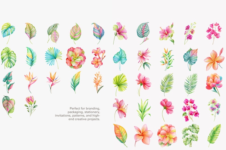 May include: A collection of watercolor illustrations featuring various tropical leaves and vibrant flowers in shades of pink, orange, yellow, green, and blue. The text reads: Perfect for branding, packaging, stationery, invitations, patterns, and high-end creative projects.