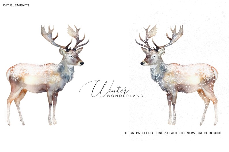 Evergreen Clipart - Watercolor Christmas - Winter Woodland Set ...