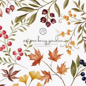 Könnte beinhalten: Eine Sammlung von Aquarellillustrationen mit Herbstblättern und Beeren in Rot-, Orange-, Gelb- und Dunkellila-Tönen. Der Text lautet 70 autumn berry garden, a warm watercolor collection of seasonal leaves and wild berries.