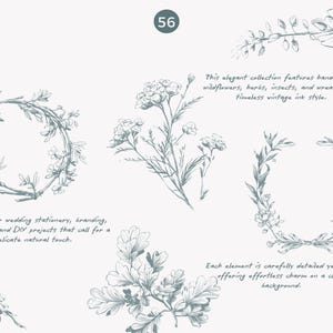 May include: A collection of hand-drawn botanical illustrations in a vintage style. The illustrations include wreaths, wildflowers, herbs, and insects.  This elegant collection features hand-drawn wildflowers, herbs, insects, and wreaths in a timeless vintage ink style.