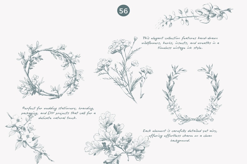 May include: A collection of hand-drawn botanical illustrations in a vintage style. The illustrations include wreaths, wildflowers, herbs, and insects.  This elegant collection features hand-drawn wildflowers, herbs, insects, and wreaths in a timeless vintage ink style.