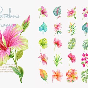 May include: A collection of watercolor illustrations featuring a large pink and yellow hibiscus flower on the left with the text Rainbow Tropics, accompanied by a grid of various tropical flowers and green leaves in vibrant shades.
