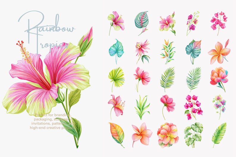 May include: A collection of watercolor illustrations featuring a large pink and yellow hibiscus flower on the left with the text Rainbow Tropics, accompanied by a grid of various tropical flowers and green leaves in vibrant shades.