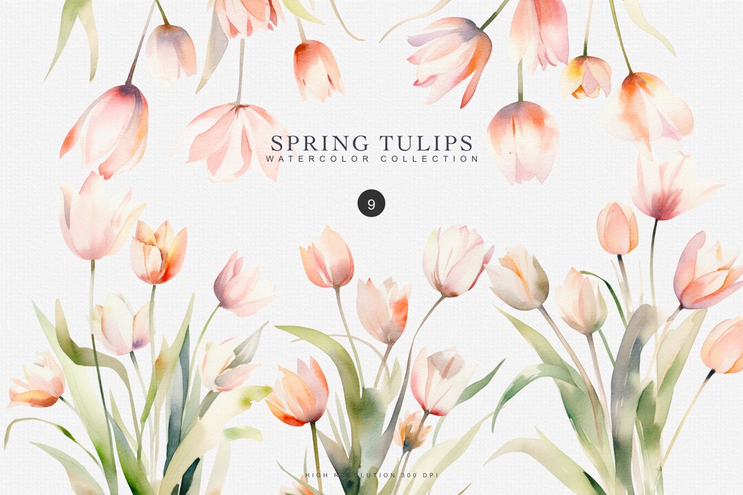 Watercolor Tulip Clipart Spring Flowers Wedding Foliage Pink Tulips ...