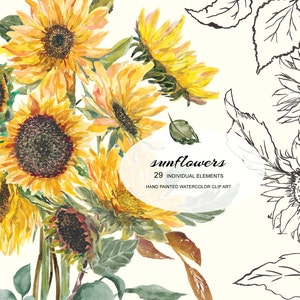 Clipart fleurs tournesol - aquarelle tournesol tournesol bouquet - fleurs jaunes clipart - clipart mariage - clipart premade - numérique