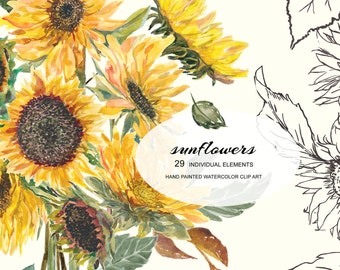 Sonnenblume Blumen Clipart - Aquarell Sonnenblume Sonnenblumenstrauß - gelbe Blumen Clipart - Hochzeit Clipart - vorgefertigte Clipart - digital
