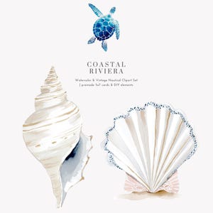 Mediterranean Coastal Watercolor Clipart Png, Nautical Seashells and ...