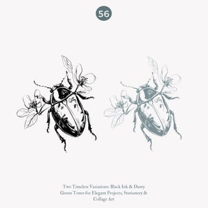May include: Two variations of a black and white line drawing of a beetle with flowers. The beetle is drawn in a realistic style with detailed features. The flowers are stylized and simple. The image is labeled "Two Timeless Variations: Black Ink & Dusty Green Tones for Elegant Projects, Stationery & Collage Art".