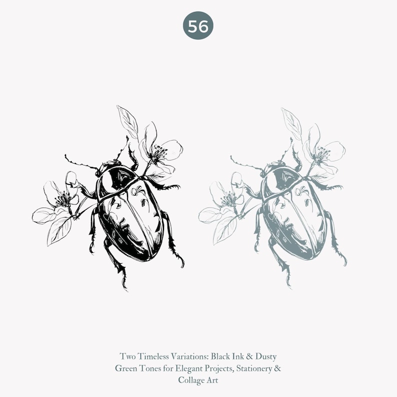 May include: Two variations of a black and white line drawing of a beetle with flowers. The beetle is drawn in a realistic style with detailed features. The flowers are stylized and simple. The image is labeled "Two Timeless Variations: Black Ink & Dusty Green Tones for Elegant Projects, Stationery & Collage Art".