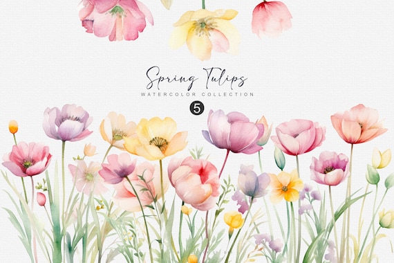 watercolor tulips clipart - spring floral bouquet - wedding clipart - premade clipart  - pink flowers clipart - spring clipart png - garden