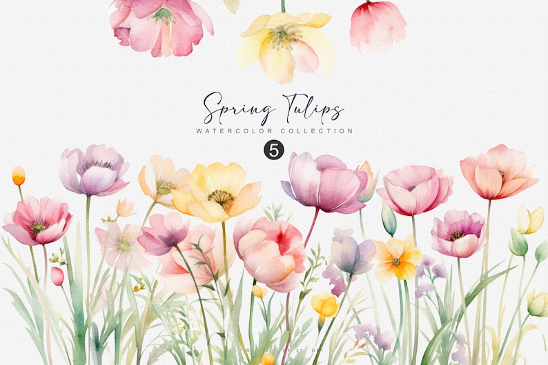 May include: Watercolor illustration of a collection of spring tulips in various shades of pink, yellow, and purple. The flowers are arranged in a bouquet with green stems and leaves. The text "Spring Tulips Watercolor Collection 5" is written in cursive at the top of the image.
