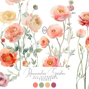 Aquarell Ranunkel Rahmen - Hochzeit Clipart - Ranunkel Rahmen - Florale Cliparts - Aquarell Blumen - Sommer Rahmen - Burgunderrot und Blush