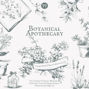 clipart d'apothicaire - étiquettes vintage - bouteilles de potion - illustration magique - graphiques à base de plantes - éléments de sorcellerie - botanique png - alchimie png