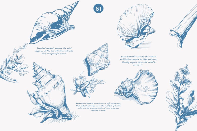 May include: A set of blue ink illustrations of seashells and flowers. The illustrations are detailed and intricate, capturing the natural beauty of these objects. The text "Each illustration reveals the natural architecture shaped by tides and time, blending organic form with artistic precision." is included in the image.