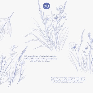 Puede incluir: Bocetos bot&aacute;nicos de flores silvestres en tinta azul. La imagen incluye varios arreglos florales e ilustraciones de plantas individuales. El texto dice: "Este elegante conjunto de bocetos bot&aacute;nicos captura la belleza tranquila de las flores silvestres con suaves l&iacute;neas de tinta azul."