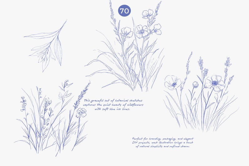 Puede incluir: Bocetos bot&aacute;nicos de flores silvestres en tinta azul. La imagen incluye varios arreglos florales e ilustraciones de plantas individuales. El texto dice: "Este elegante conjunto de bocetos bot&aacute;nicos captura la belleza tranquila de las flores silvestres con suaves l&iacute;neas de tinta azul."