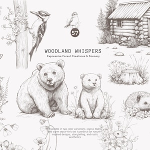 clipart des bois - animaux de la forêt - dessin à la mine de plomb - graphiques nature vintage - croquis dessinés à la main - faune antique - croquis au crayon - png