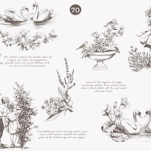 Puede incluir: Una colecci&oacute;n de ilustraciones de inspiraci&oacute;n vintage que representan cisnes, p&aacute;jaros, flores y una mujer de pie en un jard&iacute;n. Las ilustraciones est&aacute;n dibujadas en blanco y negro y tienen un estilo delicado y rom&aacute;ntico.
