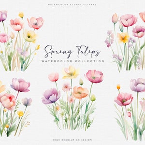 May include: Watercolor illustrations of pink, yellow, and purple flowers with green stems and leaves. The flowers are arranged in bouquets and the text "Spring Tulips Watercolor Collection" is displayed in the center of the image.