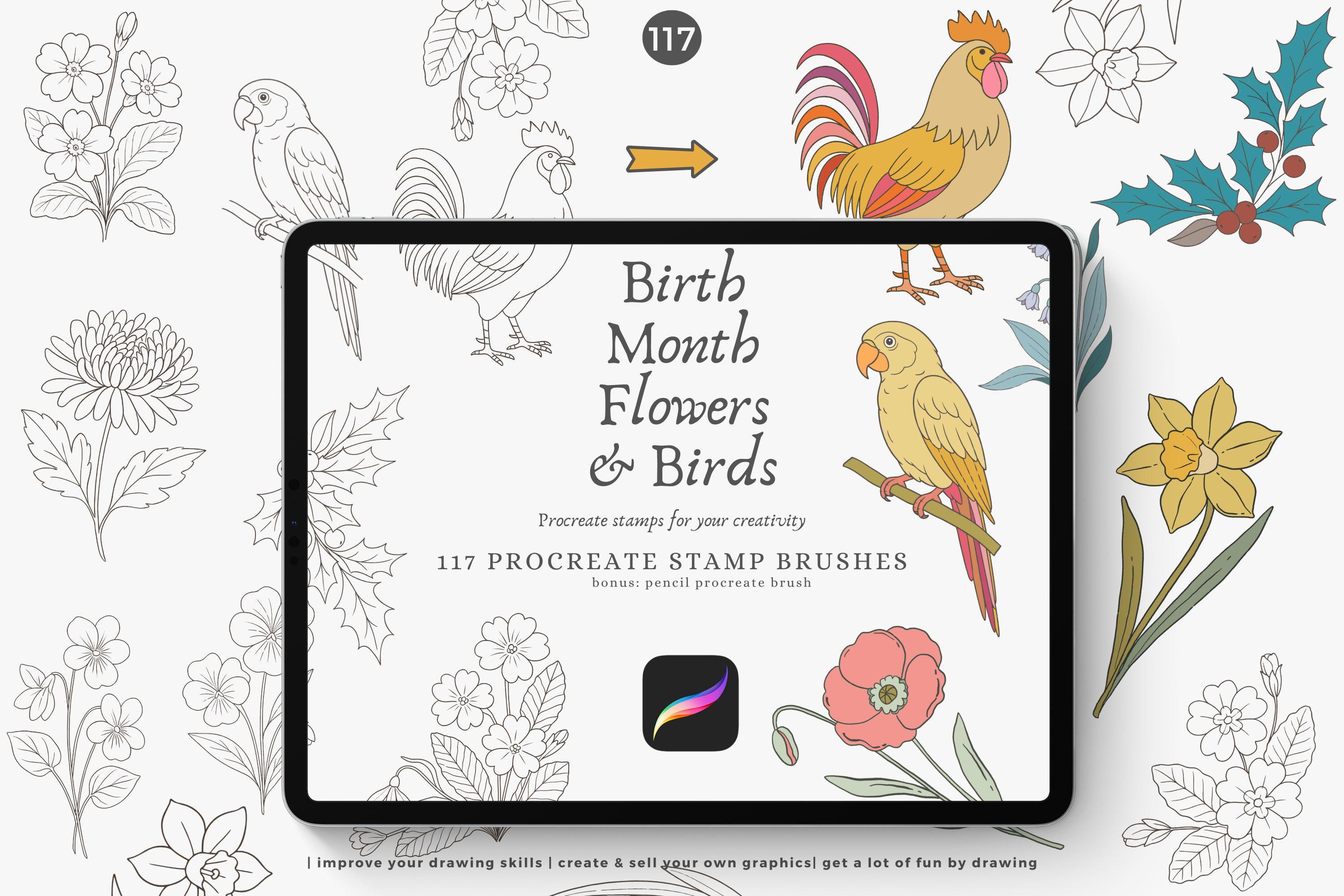 Birth Month Flowers and Birds Procreate Stamps, Floral Outline Brush ...