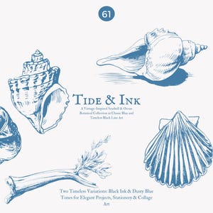 May include: A set of vintage-inspired seashells and botanical illustrations in black ink and dusty blue tones. The illustrations include a conch shell, a scallop shell, and a sprig of seaweed. The text "Tide & Ink" is featured in the center of the image.