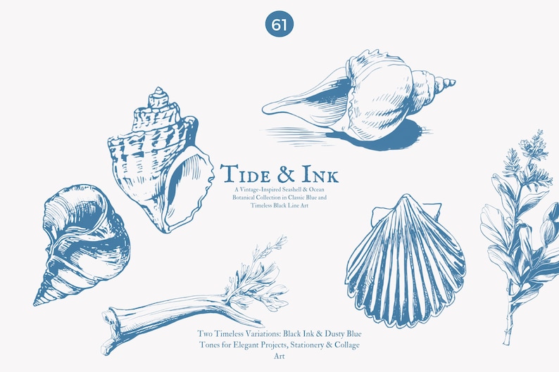 May include: A set of vintage-inspired seashells and botanical illustrations in black ink and dusty blue tones. The illustrations include a conch shell, a scallop shell, and a sprig of seaweed. The text "Tide & Ink" is featured in the center of the image.