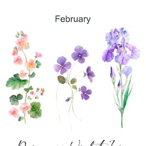 May include: Watercolor illustration of February birth month flowers: a sprig of pink primrose, a cluster of purple violets, and a purple iris.