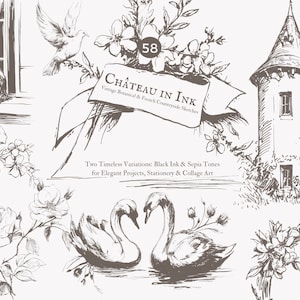vintage - florale Skizze - romantische Schwäne - Französisches Schloss - Hochzeit Clipart - Blumenrahmen - Schleife - Blumenrahmen - Land
