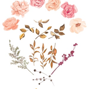 Puede incluir: Elementos florales de acuarela en tonos rosa, melocot&oacute;n y marr&oacute;n, incluyendo rosas, hojas y bayas. La imagen presenta una variedad de ilustraciones bot&aacute;nicas, perfectas para proyectos de arte digital. El texto "patishop art" est&aacute; en la parte inferior.