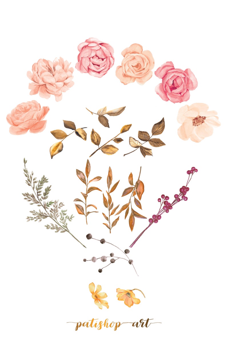 Puede incluir: Elementos florales de acuarela en tonos rosa, melocot&oacute;n y marr&oacute;n, incluyendo rosas, hojas y bayas. La imagen presenta una variedad de ilustraciones bot&aacute;nicas, perfectas para proyectos de arte digital. El texto "patishop art" est&aacute; en la parte inferior.