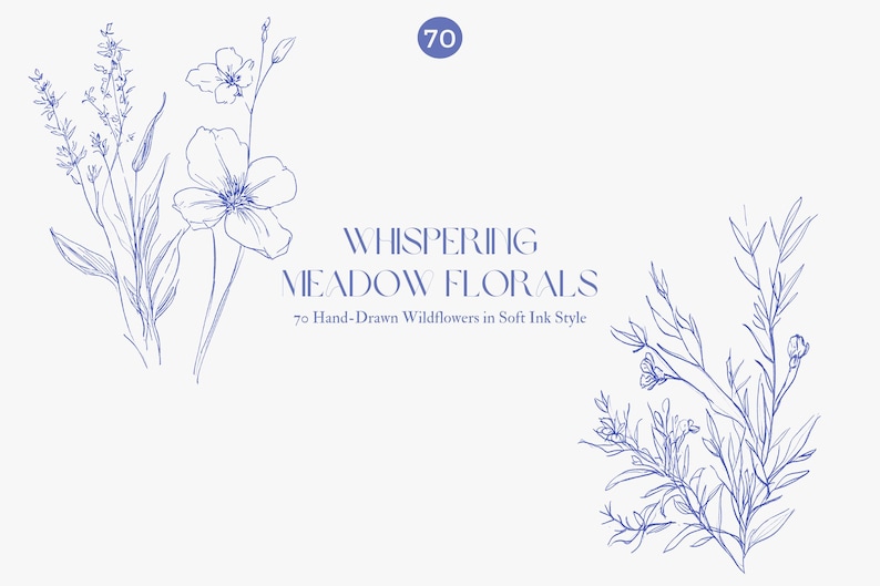 Puede incluir: Ilustraci&oacute;n digital con delicadas flores azules dibujadas a l&iacute;nea sobre fondo blanco. El texto dice "Whispering Meadow Florals" y "70 flores silvestres dibujadas a mano en estilo de tinta suave".